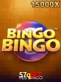 bingobingo